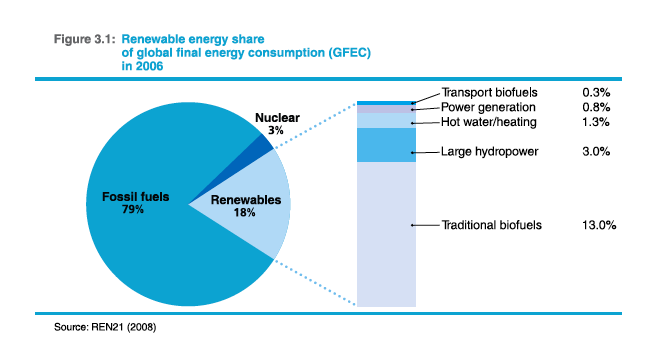 Renewable energy share of global final energy consumption in 2006.